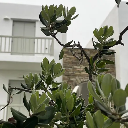 Ninemia Kionia